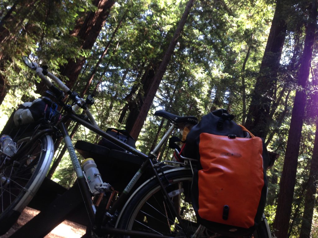 bike touring redwoods