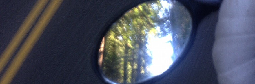 bike touring redwoods in mirror