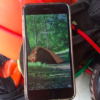 bike touring recovered iPhone