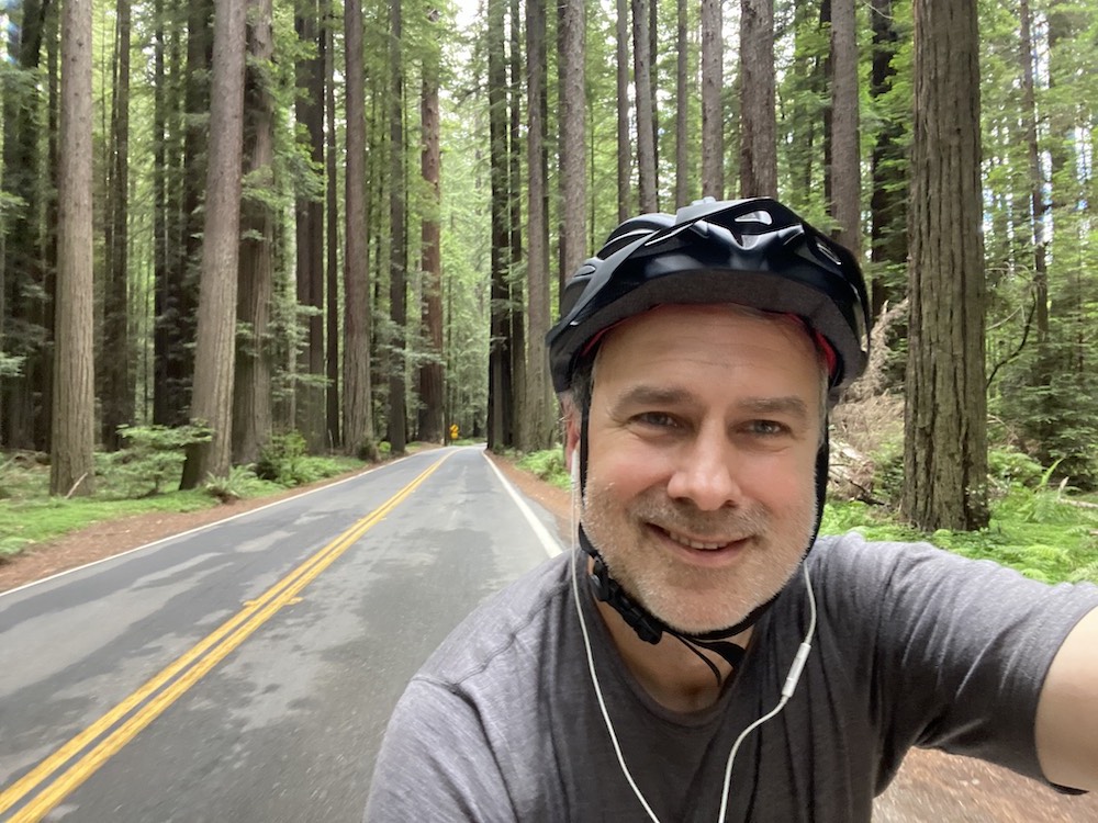 The Pedalshift Project 246: Exploring the Avenue of the Giants by Brompton